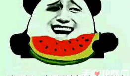 娱乐圈吃瓜的梗叫什么